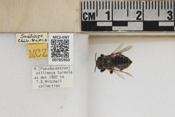 Media type: image;   Entomology 785950 Aspect: Labels